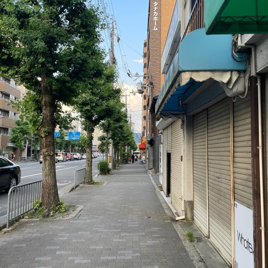 椿音楽教室 ピアノサロン ミューズの微笑みの写真 4