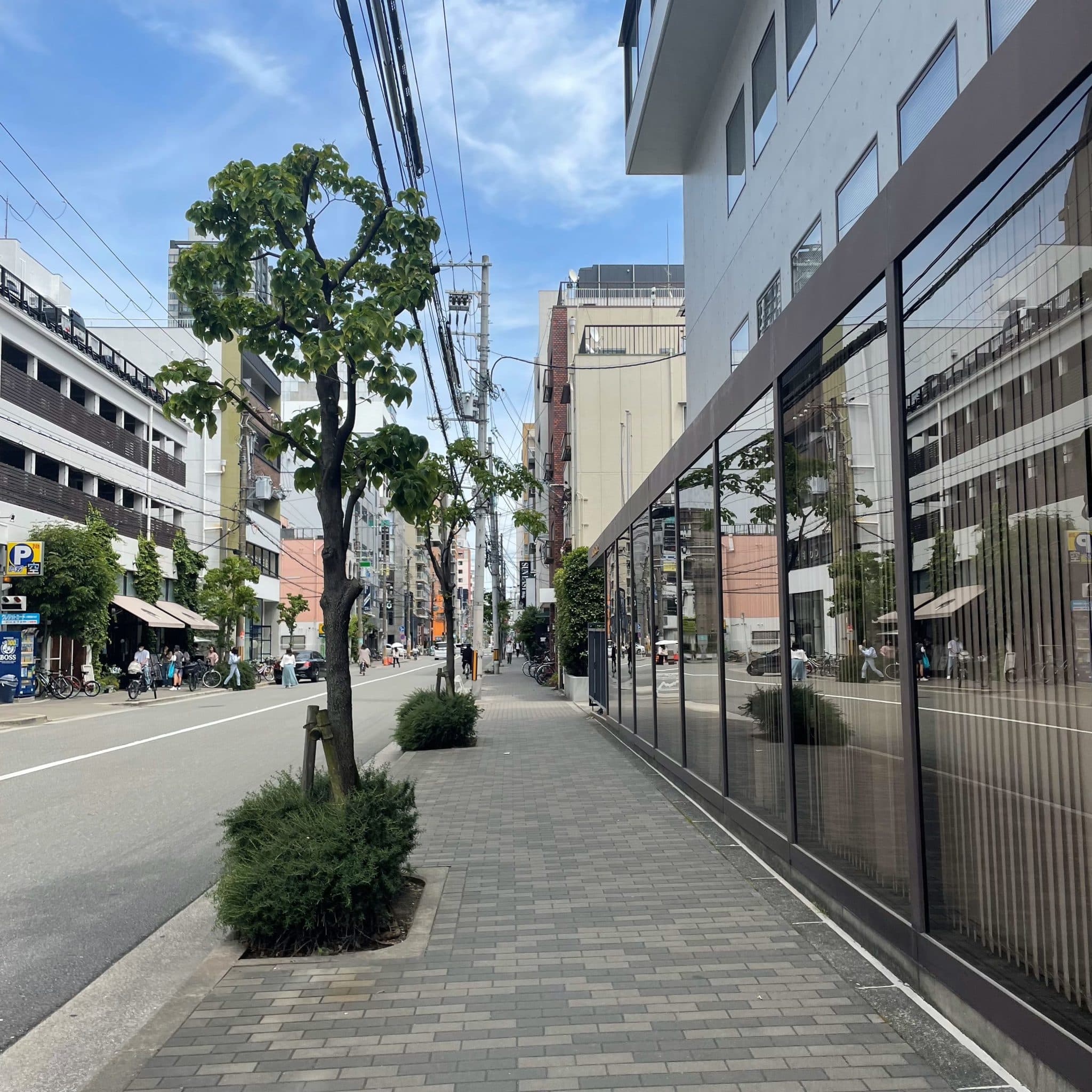 椿音楽教室 StudioRuhの写真 4