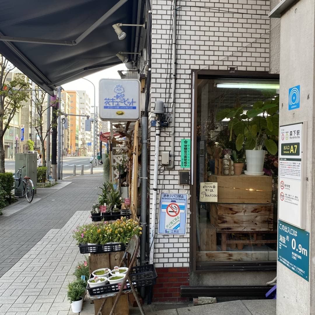 椿音楽教室 Studio Chez Claudeの写真 4