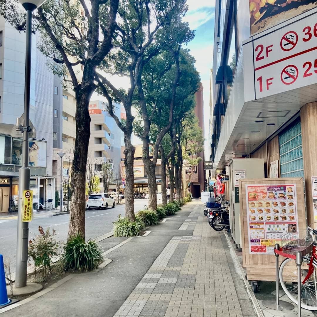 椿音楽教室 リンキィディンクスタジオ葛西の写真 3