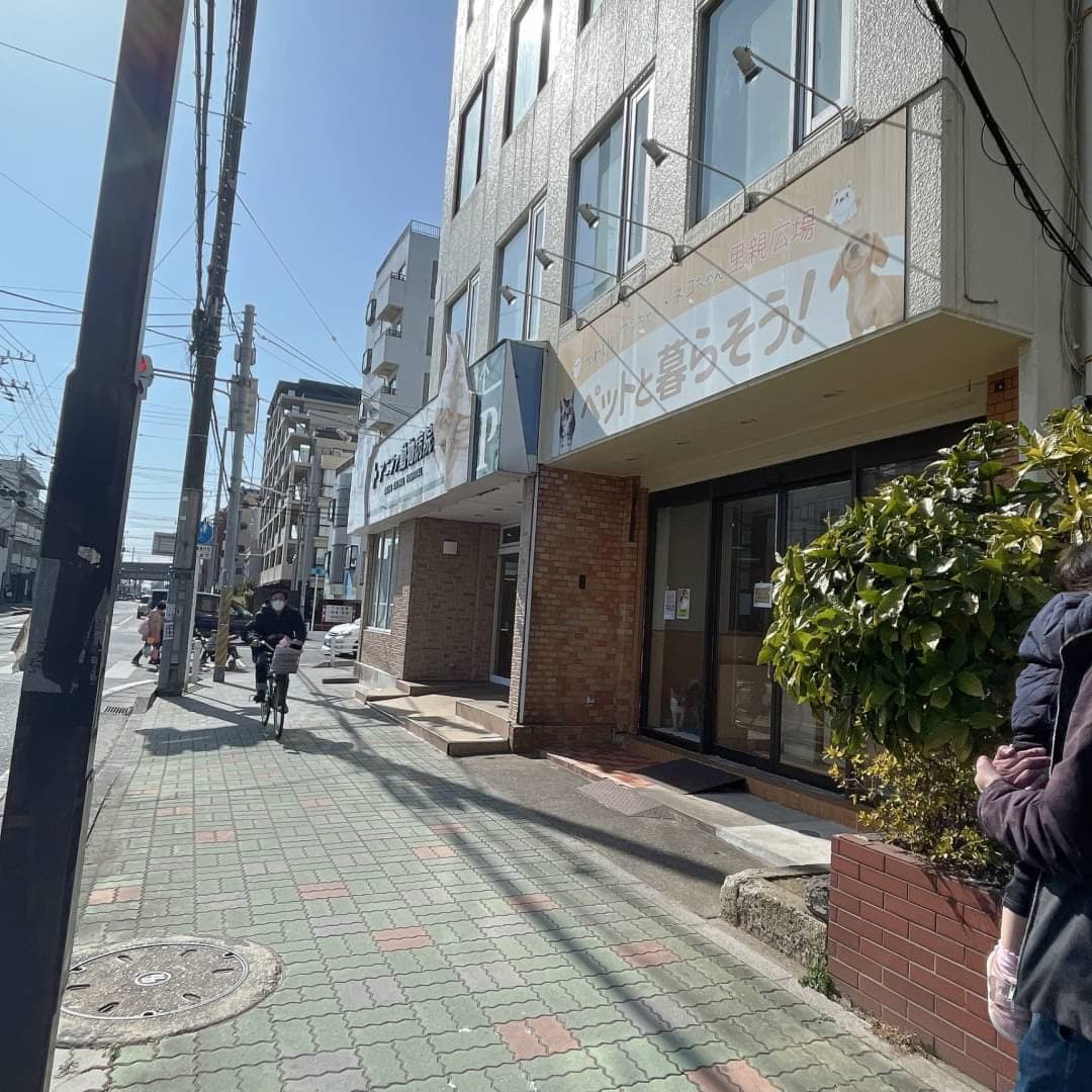 椿音楽教室 サウンドスタジオM 柏店の写真 4