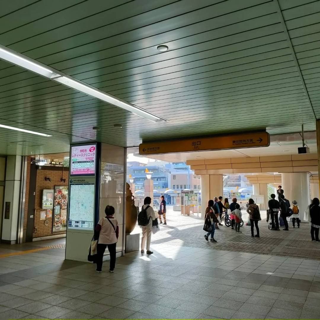 椿音楽教室 エルフラット ANNEX(仲町台アネックス)の写真 2