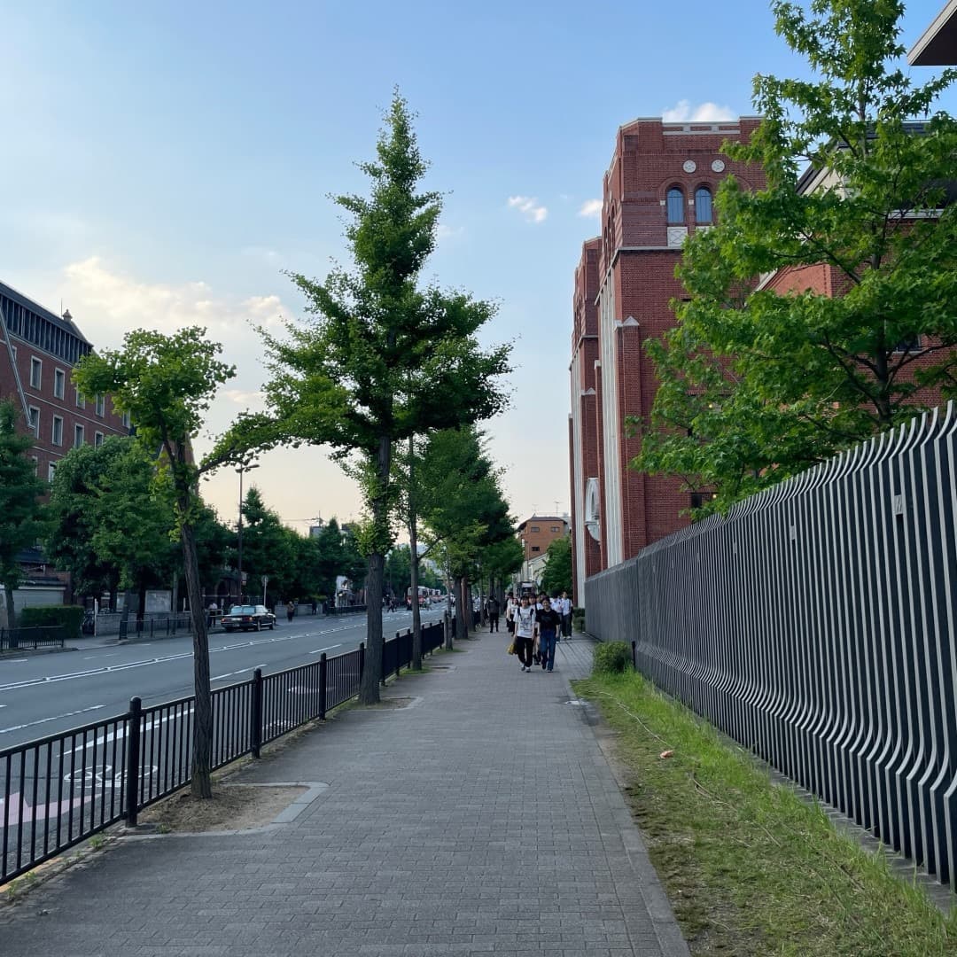 椿音楽教室 STUDIO BURUの写真 3
