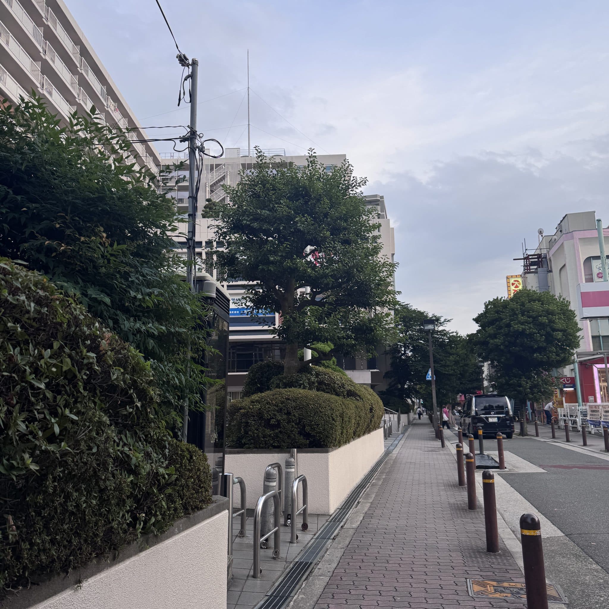 椿音楽教室 今福音楽堂の写真 4