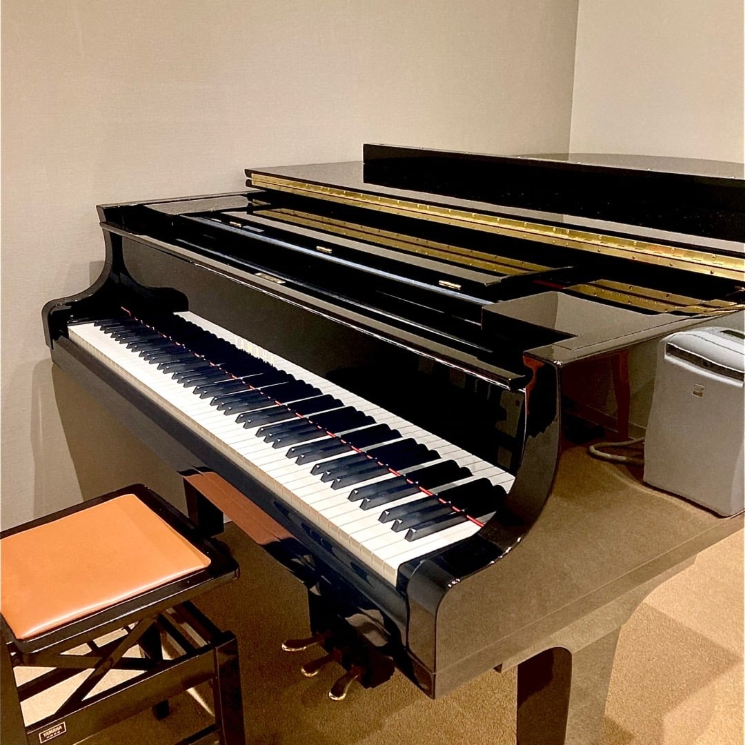 椿音楽教室 東京音楽堂 桜上水クラシックスタジオの写真