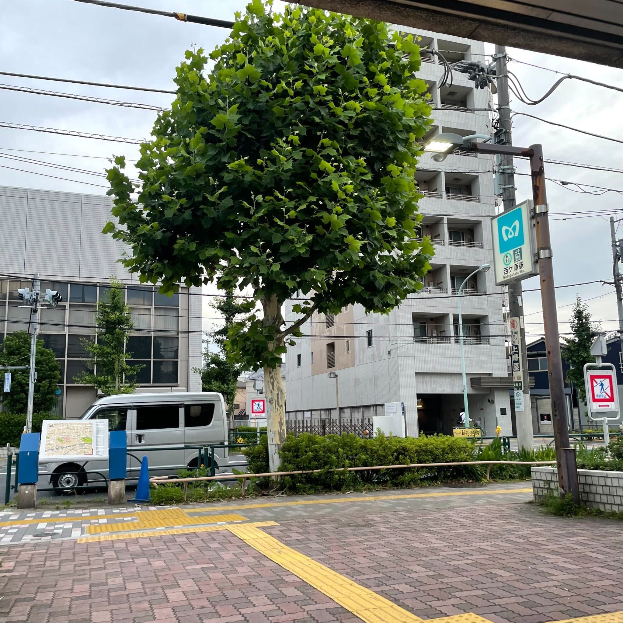 椿音楽教室 スタジオスカウトの写真 4