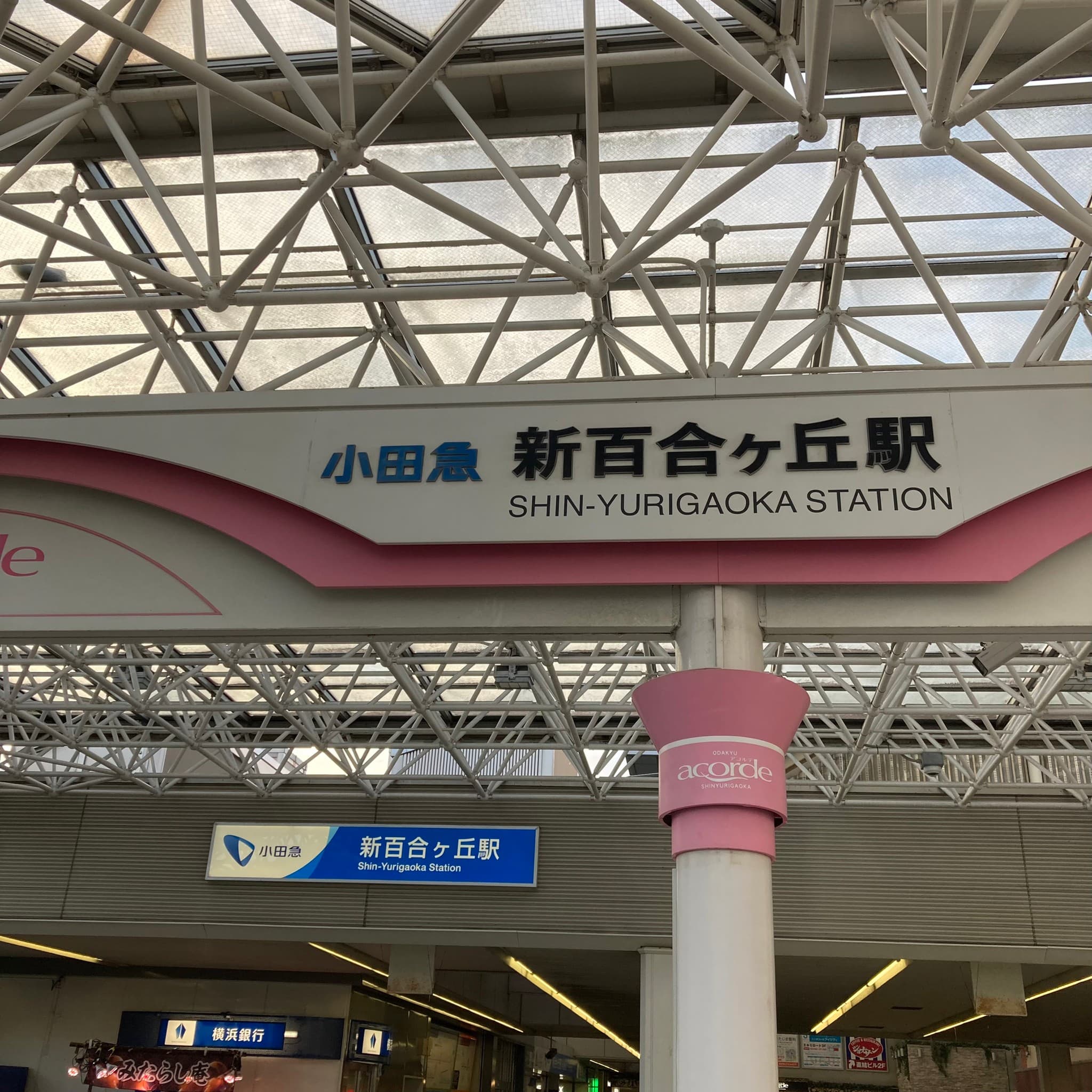 椿音楽教室 スタジオベイド 新百合ヶ丘ピアノハウス店の写真 2