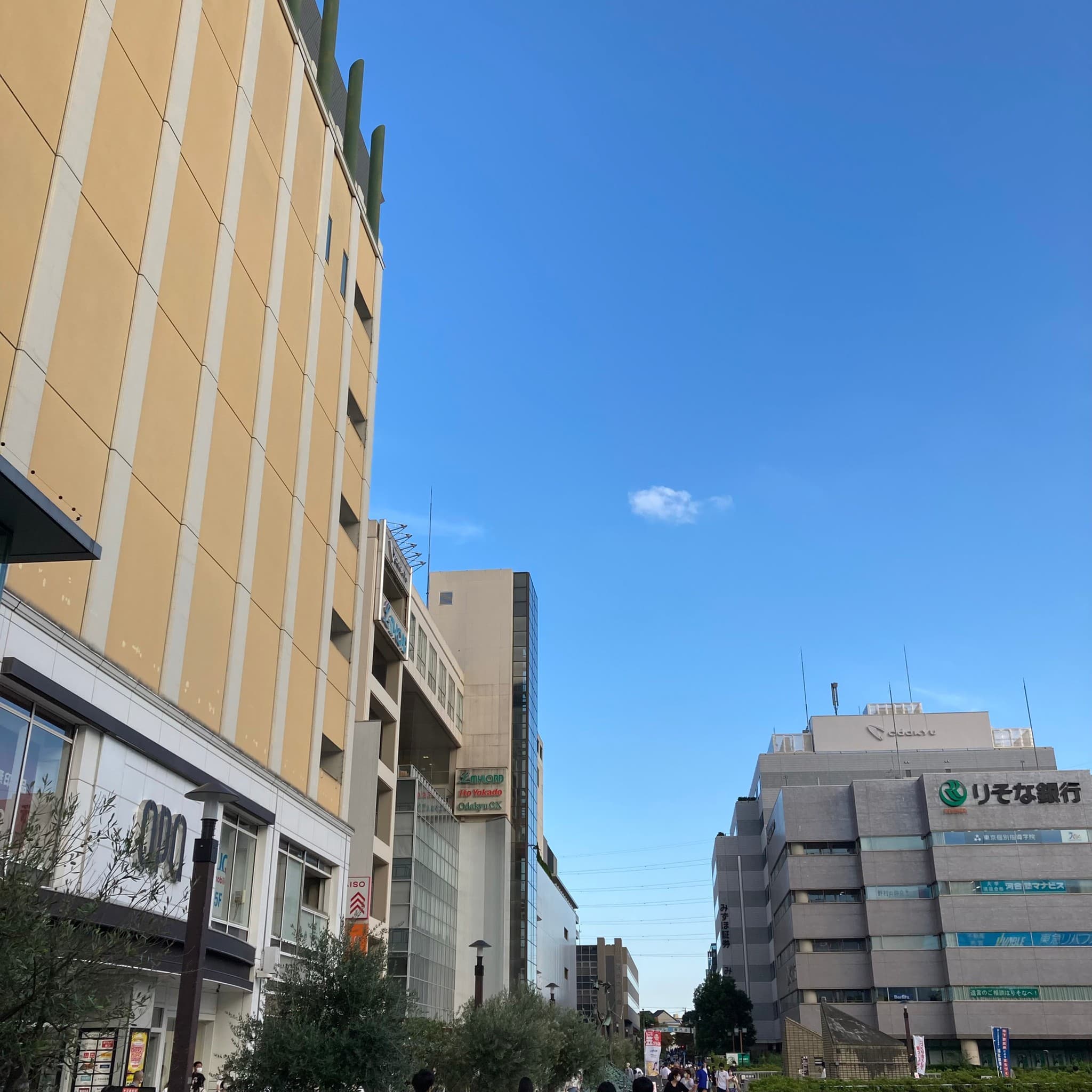 椿音楽教室 スタジオベイド 新百合ヶ丘ピアノハウス店の写真 3
