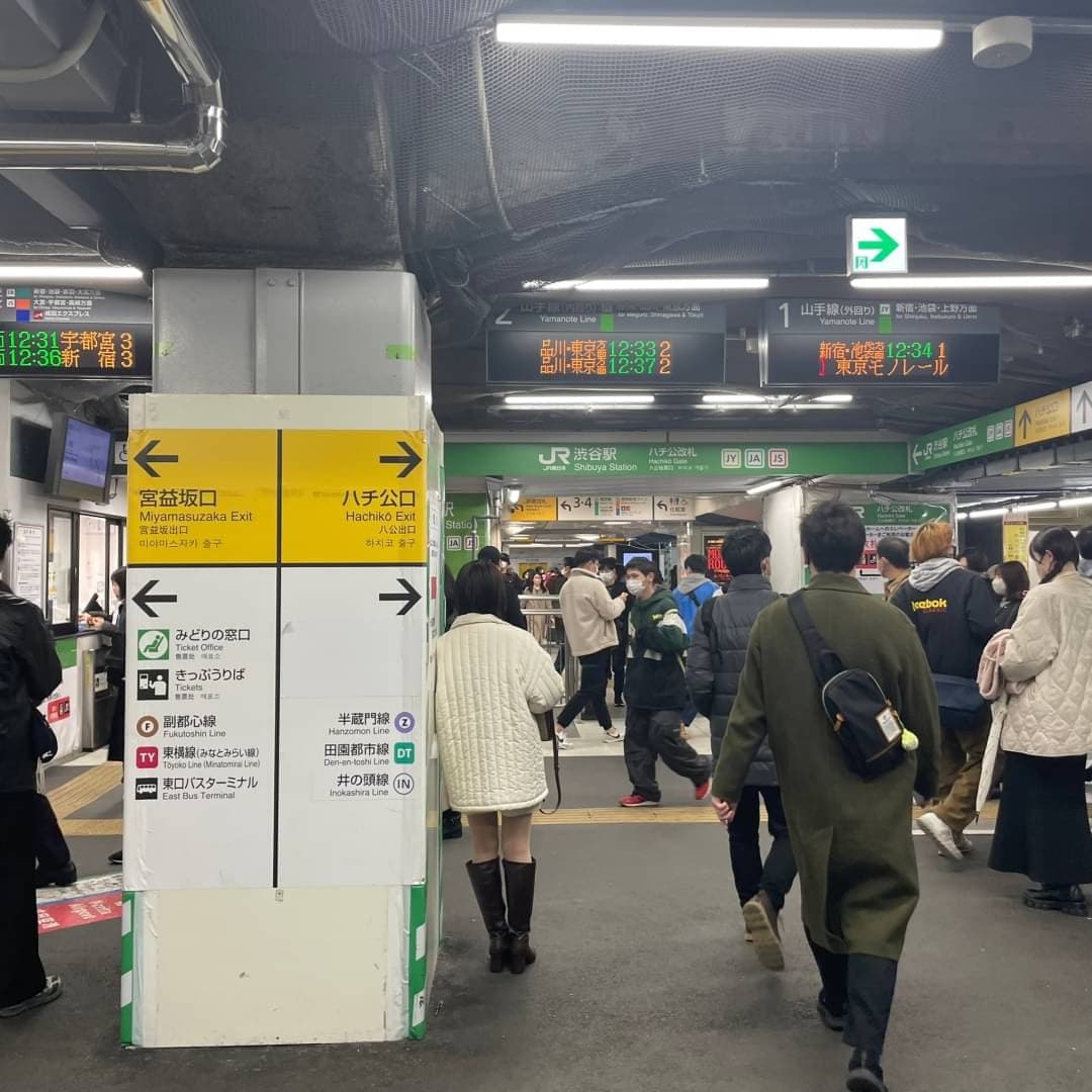 椿音楽教室 三浦ピアノスタジオの写真 2