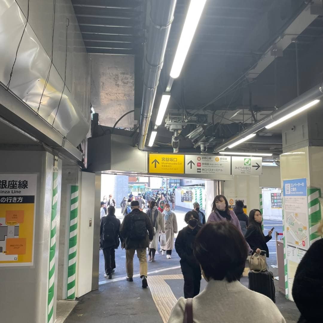 椿音楽教室 三浦ピアノスタジオの写真 3